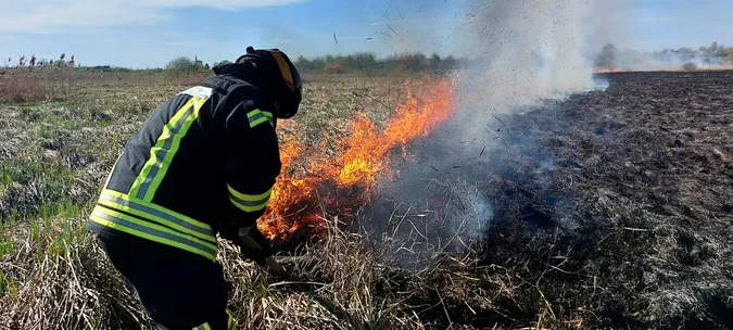 На дачному масиві під Луцьком жінка випадково підпалила поле (фото)