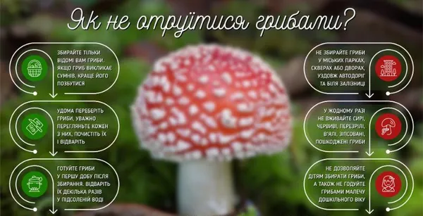 Сходити по гриби і вижити: поради волинських рятувальників