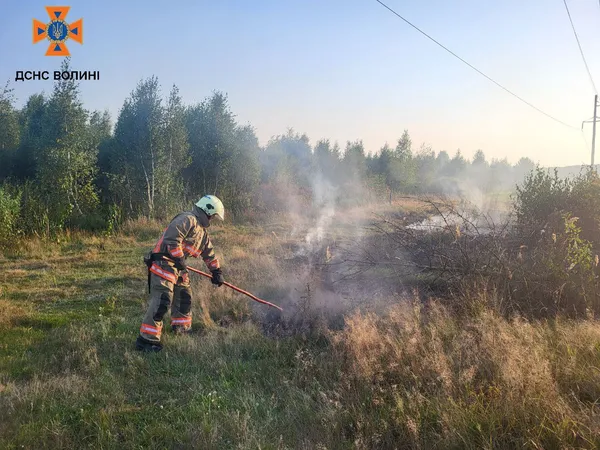 Грався з сірниками: на Камінь-Каширщині психічно хворий чоловік підпалив суху траву (фото)
