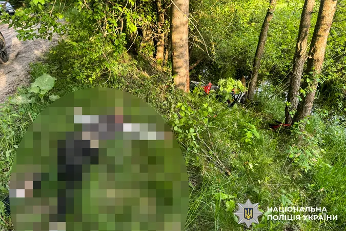 На швидкості в'їхав у дерево: на Рівненщині 17-річний юнак загинув у ДТП (фото)