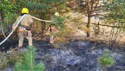 Грався з сірниками: на Камінь-Каширщині психічно хворий чоловік підпалив суху траву (фото)