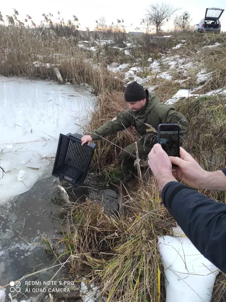 Коропи, товстолоби, амури: на Ковельщині до водосховища випустили 2,5 тонни риби (фото)