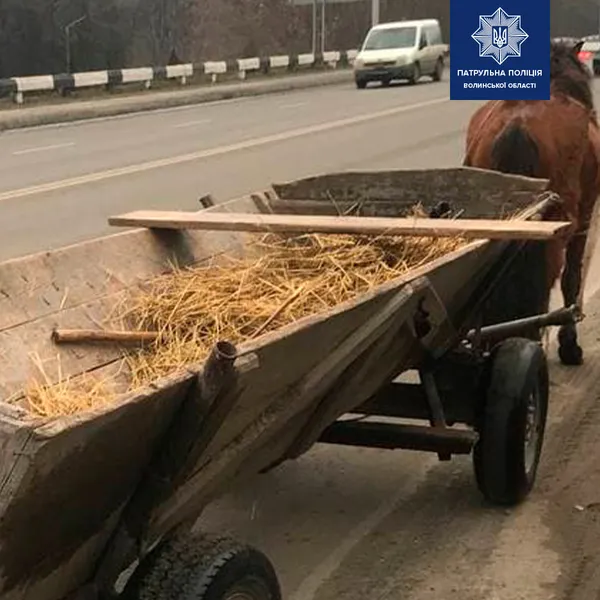 У Луцьку за порушення ПДР патрульні зупинили підводу з конем (фото)