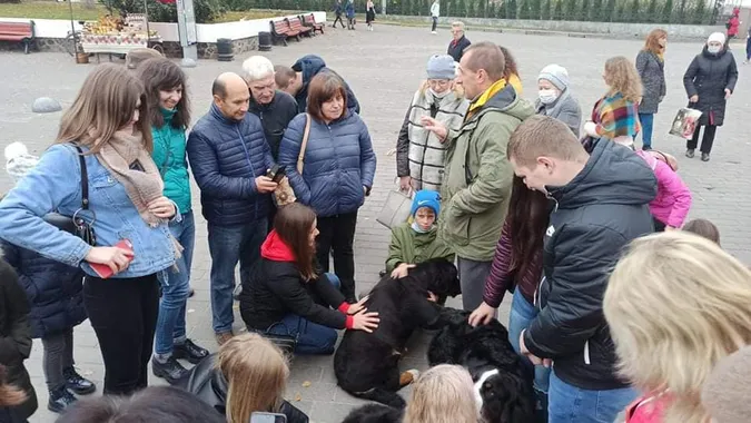 У центрі Луцька закружляв «собачий» вальс (фото, відео)