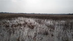 У Холопичах через штучні дерев’яні конструкції затопило землі і будівлі (фото)