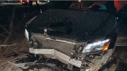 У Луцьку п'яний молодик на Audi протаранив дерево (фото)