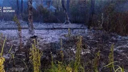 У розпал спеки на Волині побіліла земля: що за аномалія коїться (фото)