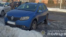 Зачепив пішохода і втік: камери "зловили" винуватця ДТП у Боратині (фото)