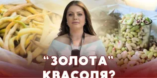 Засуха вдарила по городині: що коїться з цінами на бобові на ринку Луцька (відео)