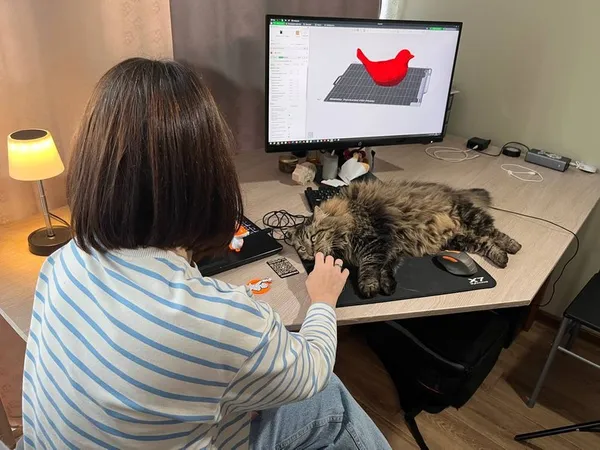 Лучанка опанувала 3D-друк, аби продовжити справу чоловіка-воїна