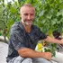 Створили «маленький Крим»: як родина з Волині вирощує 50 сортів винограду (фото, відео)