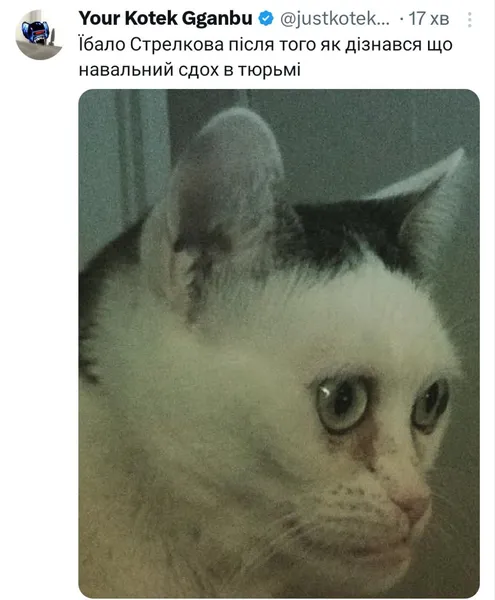 Маслом вниз: мережу підірвали меми про смерть Навального (обережно, чорний гумор!)