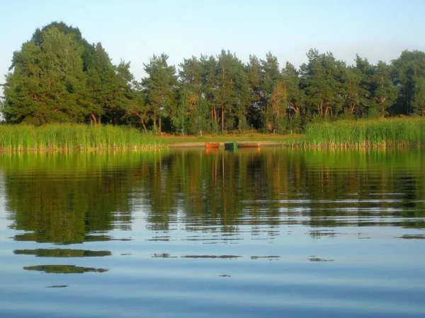 На Волині є загадкове озеро, де за сотні метрів від берега вода лише до колін (фото)