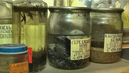 Волинянин привозить з подорожей землю та воду: незвичне хобі мандрівника