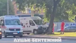 У Луцьку на кільці біля «Променя» бус влетів в дерево (відео)