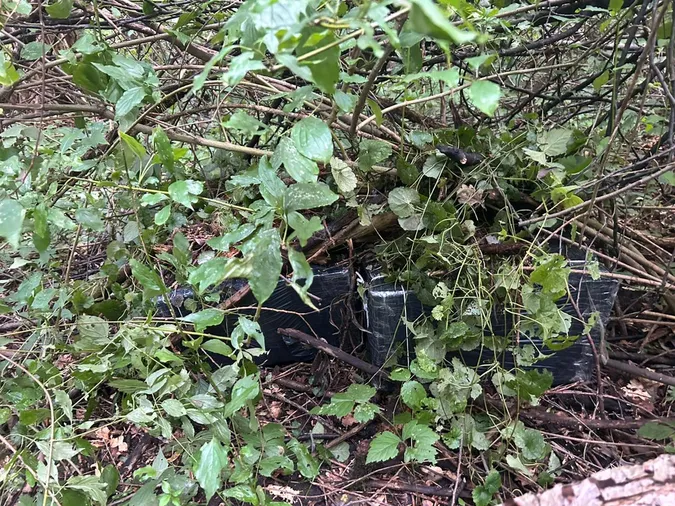 Десять ящиків цигарок до Польщі: на Ковельщині затримали контрабандистів