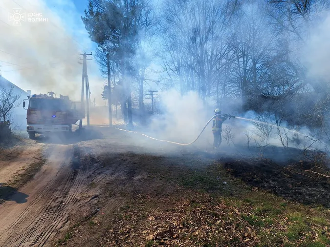 Гектари територій палають у вогні: на Волині за добу – 10 пожеж (фото)