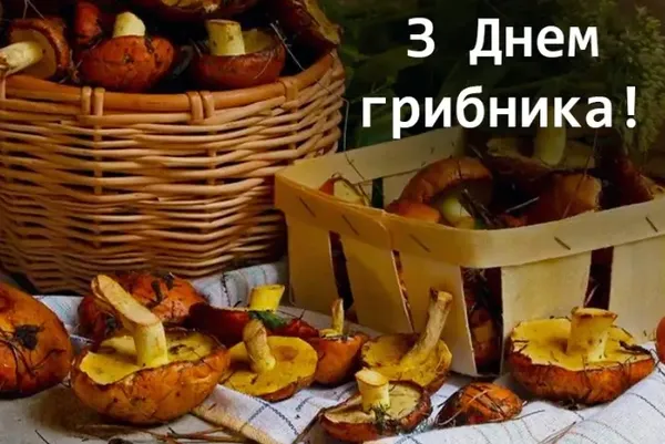 3 жовтня – День грибника: найкращі листівки та теплі привітання