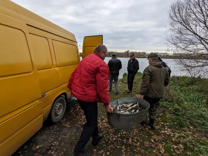 Пів тонни риби випустили у водосховище на Волині (фото)