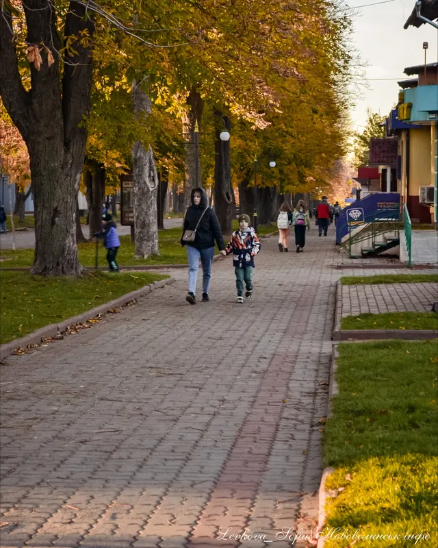 У мережі показали красу осіннього міста на Волині (фото)