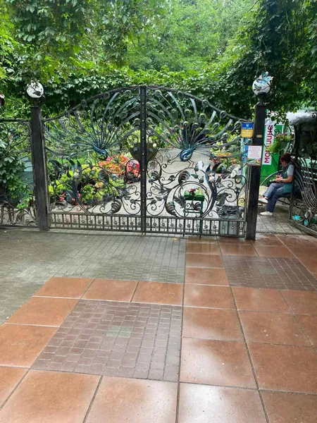 З'їв пів кілограма м'яса за раз: на Волині знайшли виснаженого хижого птаха (фото)