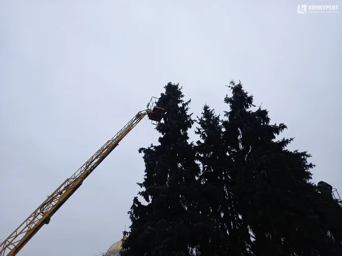 У Луцьку почали прикрашати головні ялинки (фото, відео)