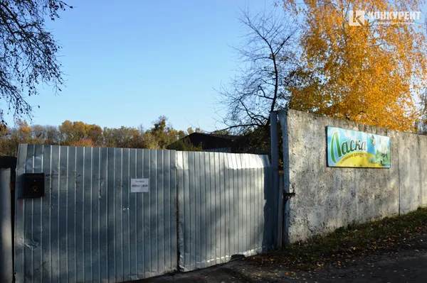 Про реалії та перспективи луцької «Ласки»: інтерв’ю з Наталією Рудь