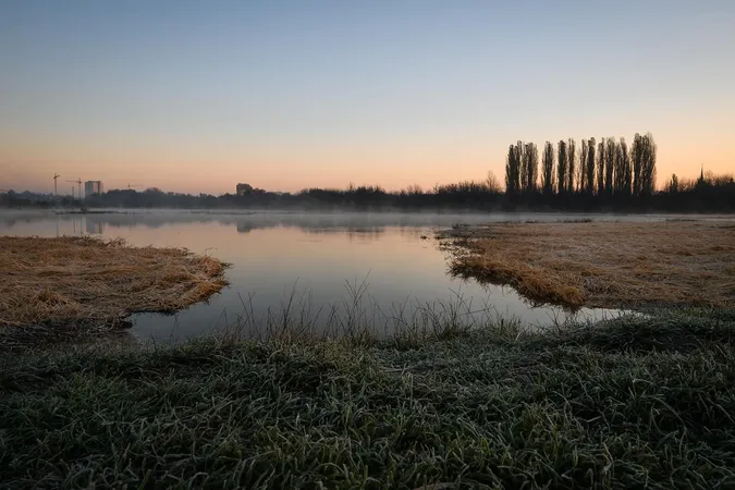Серпанковий світанок: показали ранкову красу Гнідавського болота (фото)
