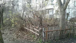 Муніципали продовжують зносити саморобні паркани у Луцьку (фото) 