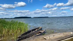 Прозора вода під безкраїм небом: показали краєвиди озера на Волині (фото)