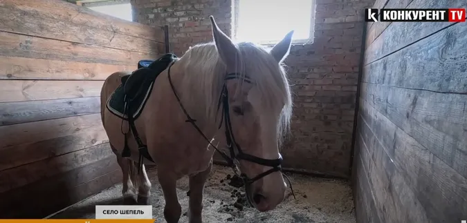 Муза – зірка фільму «Довбуш»
