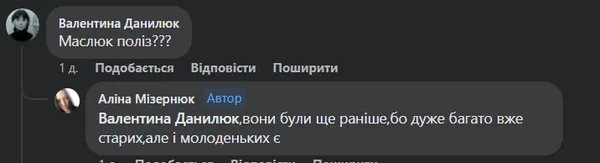 У волинських лісах полізли маслюки (фото)