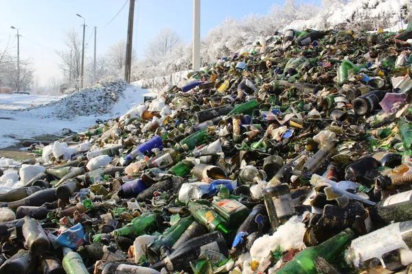 Мільйонні збитки та переповнене звалище: що не так із сортуванням сміття у Луцьку (фото)