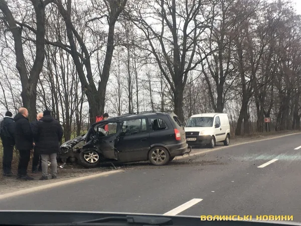 Не вписався в поворот: на Волині автомобіль врізався у дерево (фото)