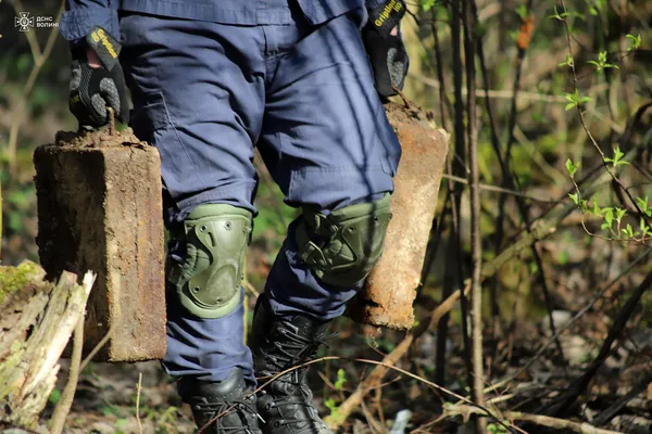 У лісі на Волині знайшли схрон боєприпасів німецької армії часів Другої світової війни (фото)