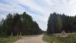 На Волині збудували і відновили 70 кілометрів лісових доріг (фото)