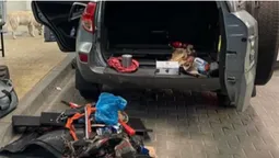 Екстазі у великих розмірах: в «Устилузі» службовий пес знайшов в автівці психотропи (фото)