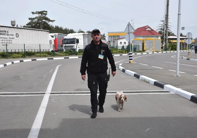 На волинському кордоні Тілсі винюхає наркотики в багажі, одязі та найпотаємніших місцях (фото)