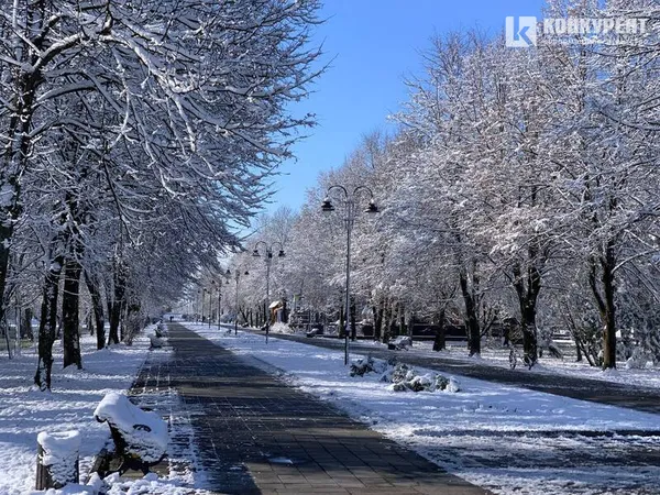 Вона чекає на вас морозного ранку у Луцькому парку (фото)