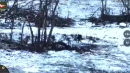 «Князівські» воїни знищили російського снайпера (відео)
