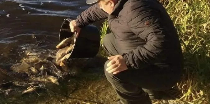 У Ковельське водосховище запустили пів тонни коропів та білих амурів (фото)
