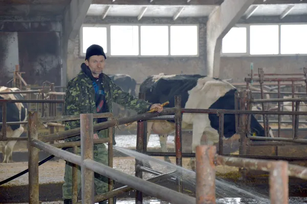 Працівник підприємства прибирає приміщення: очищує плитку від бруду