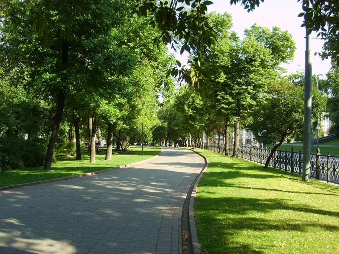 У Луцьку хочуть створити сквер пам'яті «Героїв Небесного Легіону»