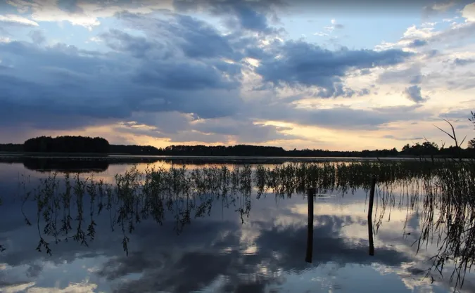 У Павлівці з водойми врятували чоловіка