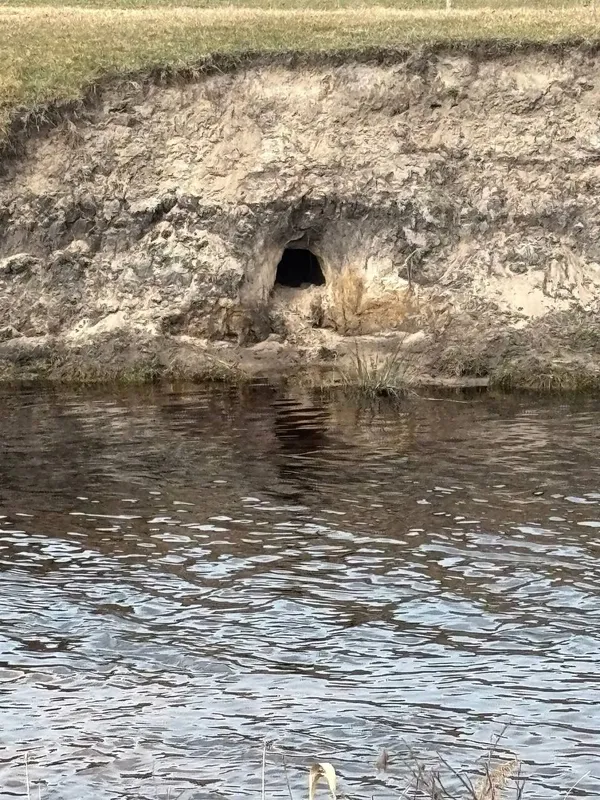 Сніг не врятував: у річках Волині – низький рівень води (фото)