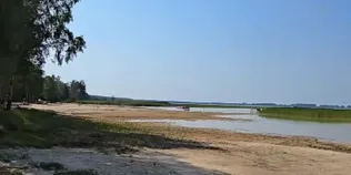 Світязь міліє на очах: на Гряді вода відійшла на десятки метрів (відео)