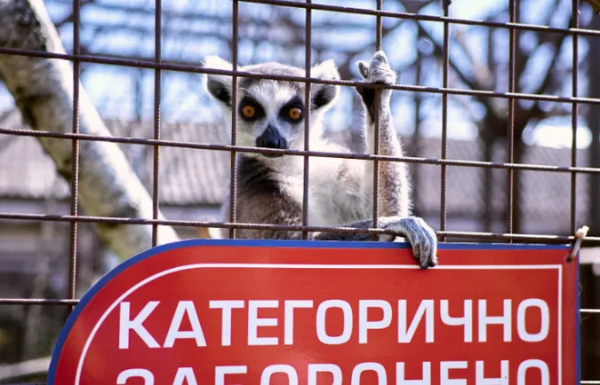 Як перезимував Луцький зоопарк і чому здорожчає квиток