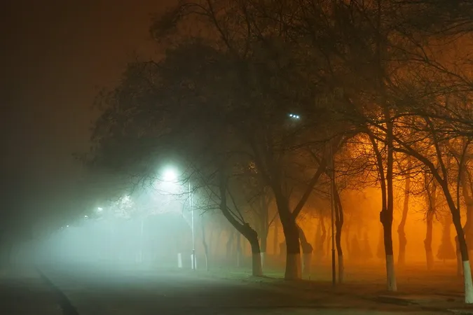 Волинь накриє непроглядний туман