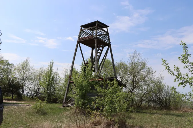 Квіти, сонце і весна: показали красу великого волинського озера (фото)