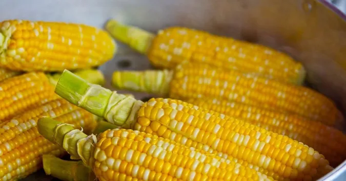 Скільки часу насправді потрібно варити молоду кукурудзу